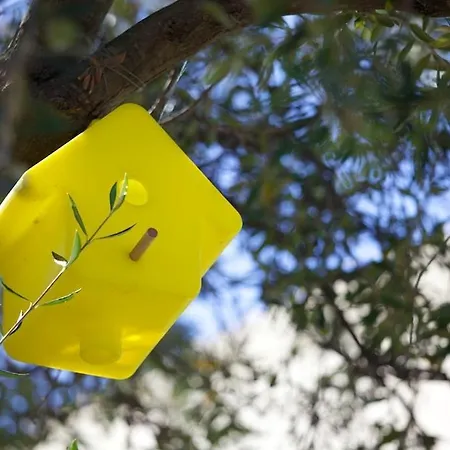 Le Clos Saint Paul Lägenhetshotell LʼÎle-Rousse