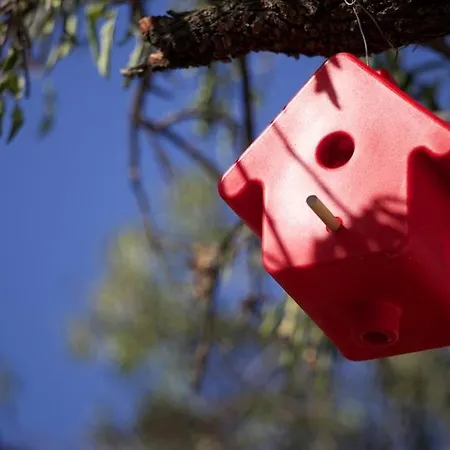 Apartahotel Résidence Le Clos Saint Paul
