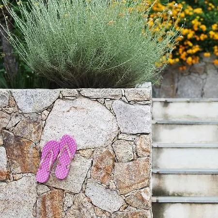 Résidence Le Clos Saint Paul Appart hôtel LʼÎle-Rousse