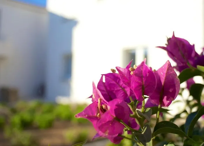 Hotel apartamentowy Le Clos Saint Paul 3*