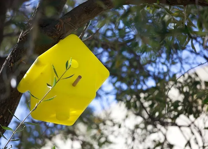 Le Clos Saint Paul Apartmanhotel LʼÎle-Rousse